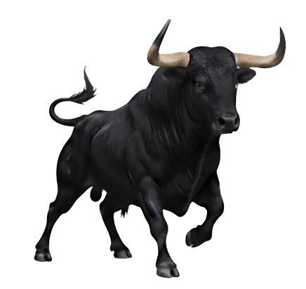 Black bull graphic used as Juniors Market brand logo symbol