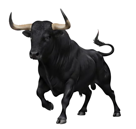 Strong black bull mascot representing Juniors Market brand identity